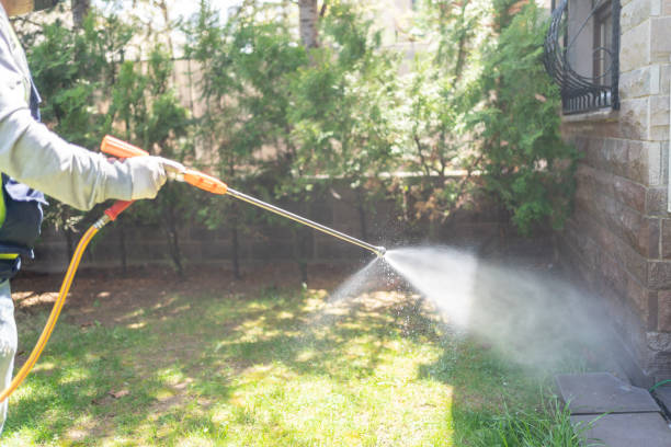 Best Fumigation Services  in Wernersville, PA